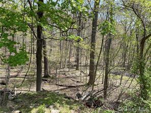 #3 photo, 458 Pascack Road, Spring Valley , NY 10977