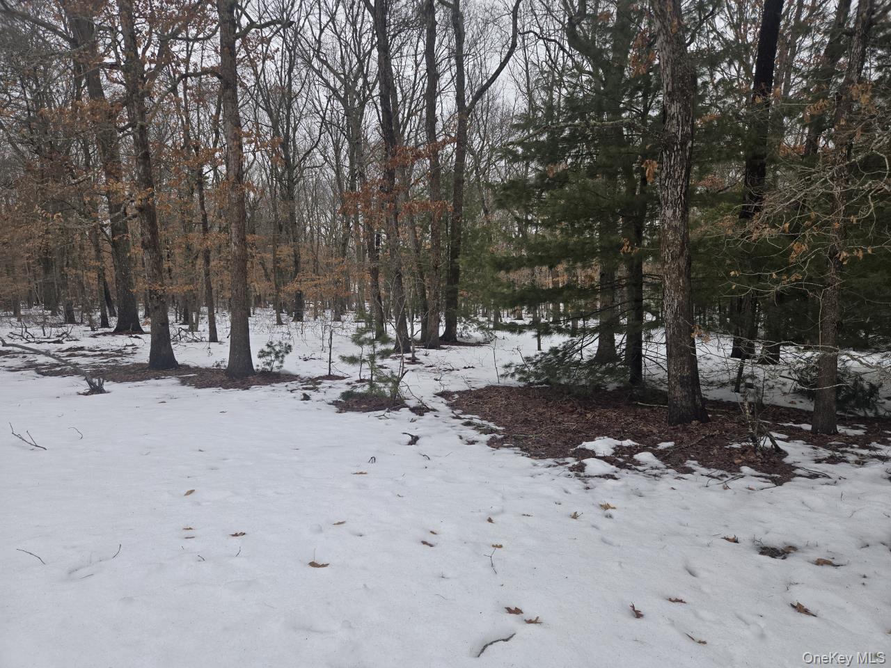 #9 photo, 9 Haney Court, সাফোক কাউন্টি Manorville , NY 11949