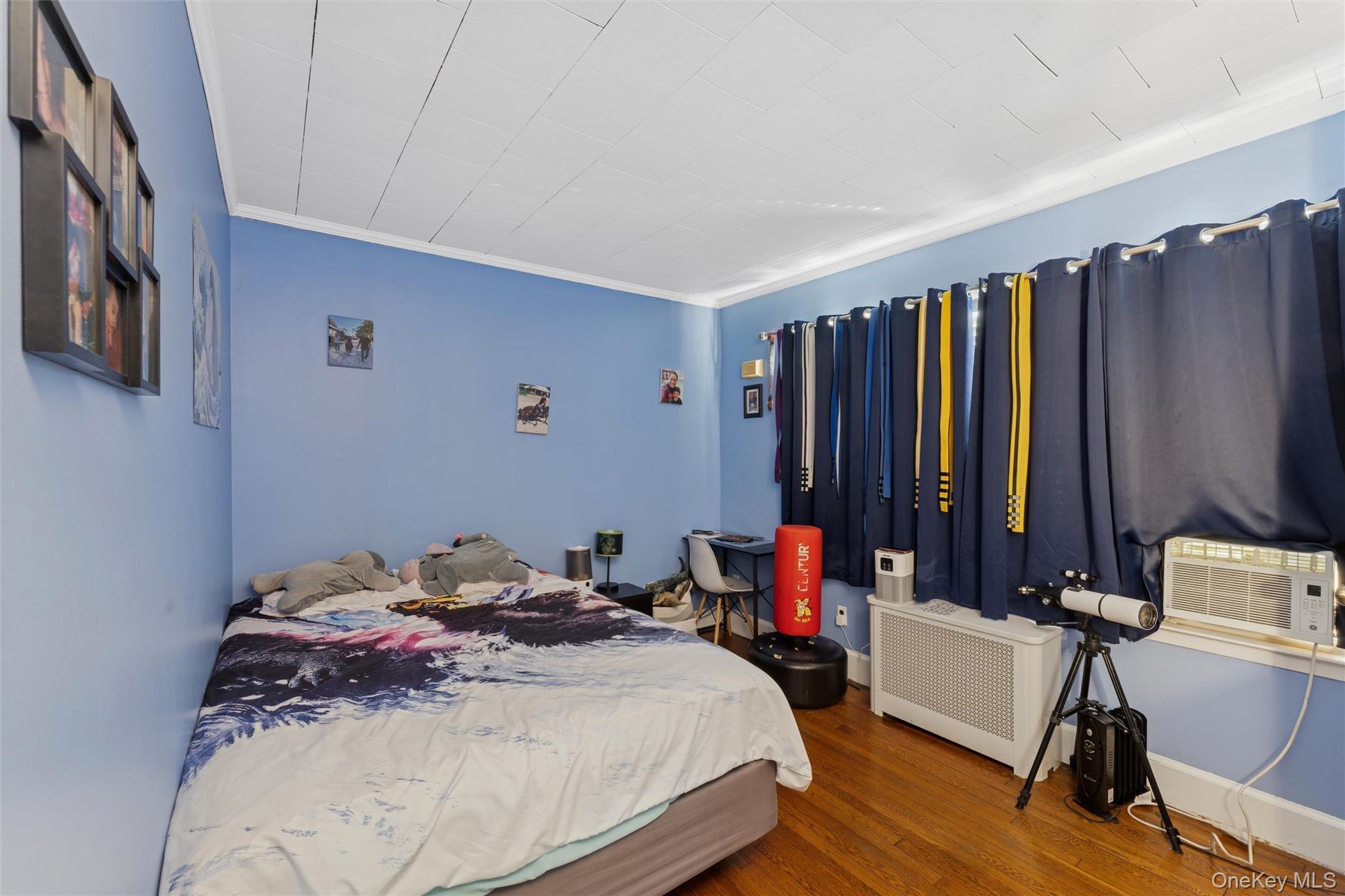 #10 photo, 22 Brokaw Avenue, 롱 아일랜드 Floral Park , NY 11001