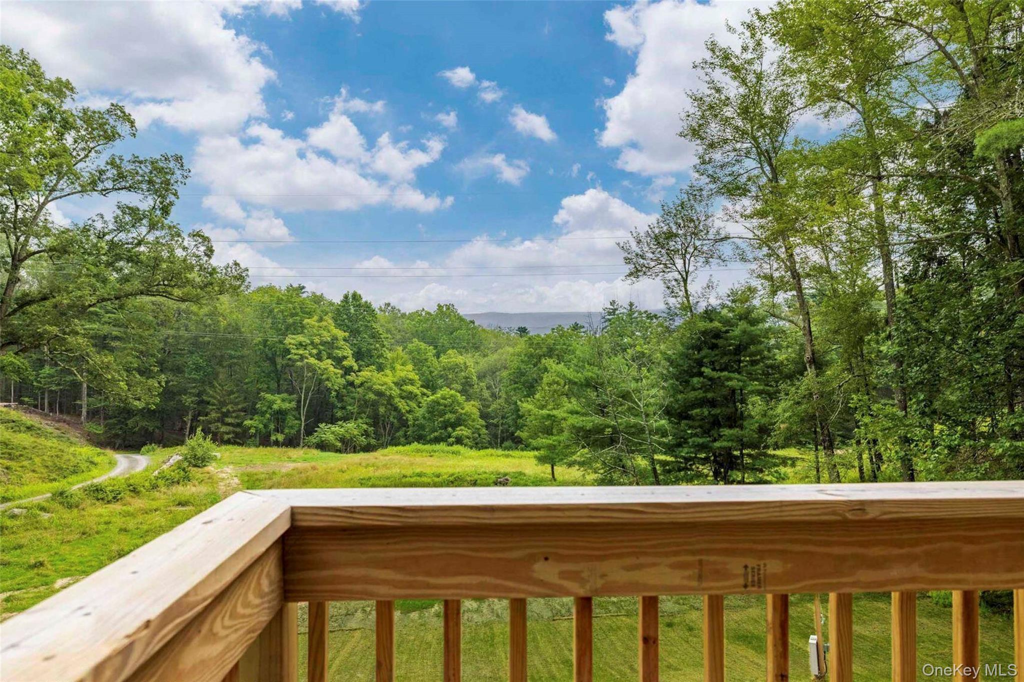 #8 photo, 132-134 Irish Cape Road, Napanoch , NY 12458