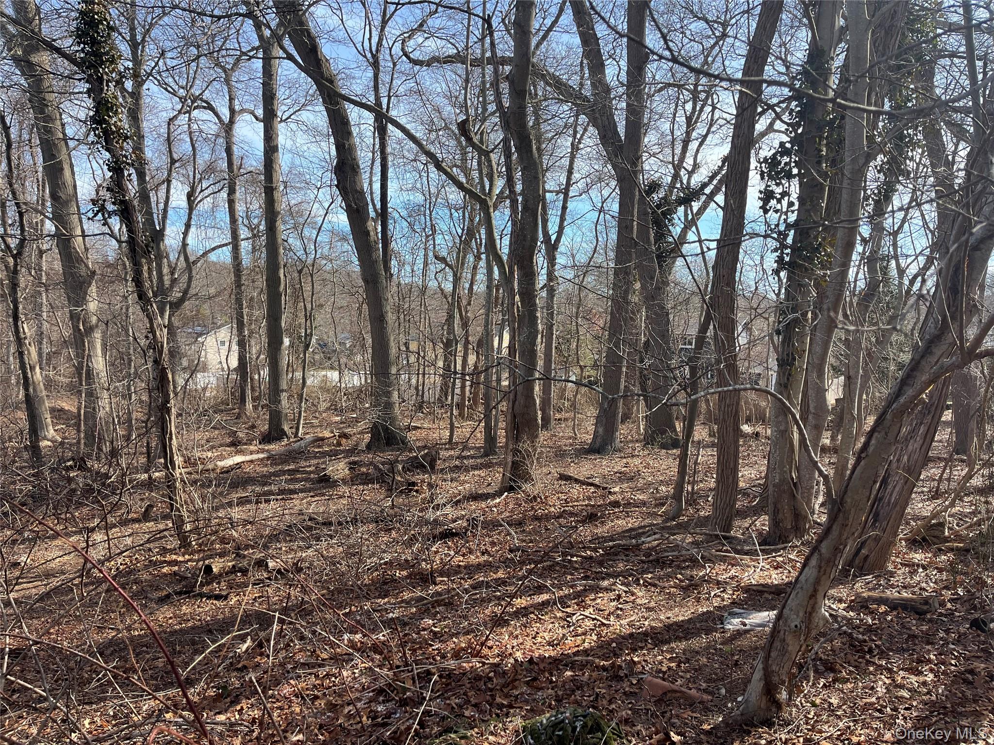 #9 photo, 77 Westchester Drive, 東長島 Rocky Point , NY 11778