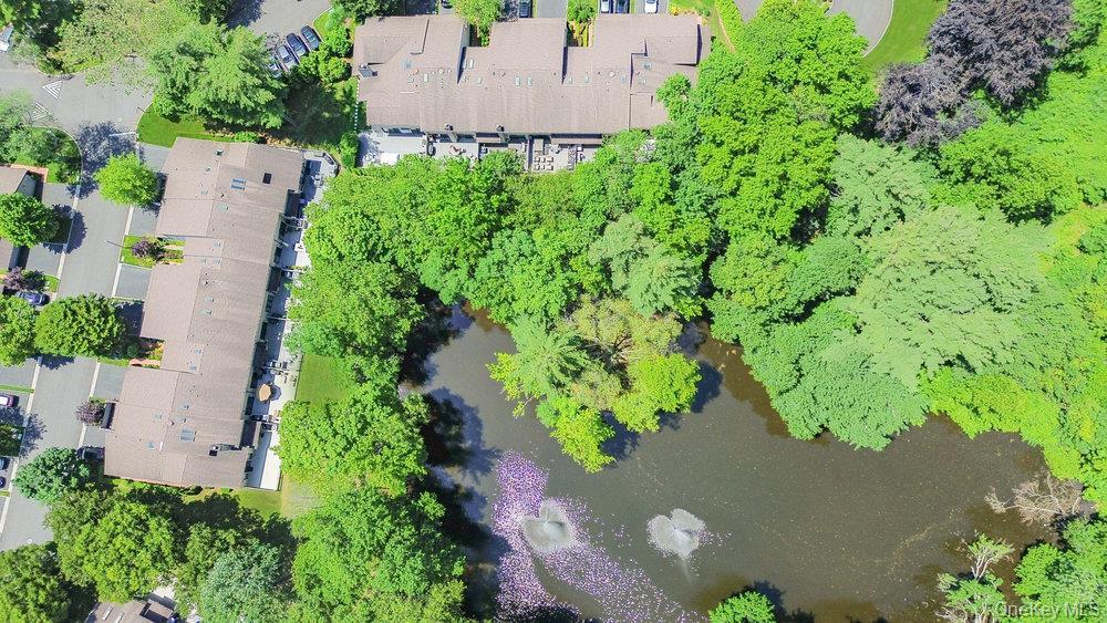 #13 photo, 124 Foxwood Drive, Jericho , NY 11753