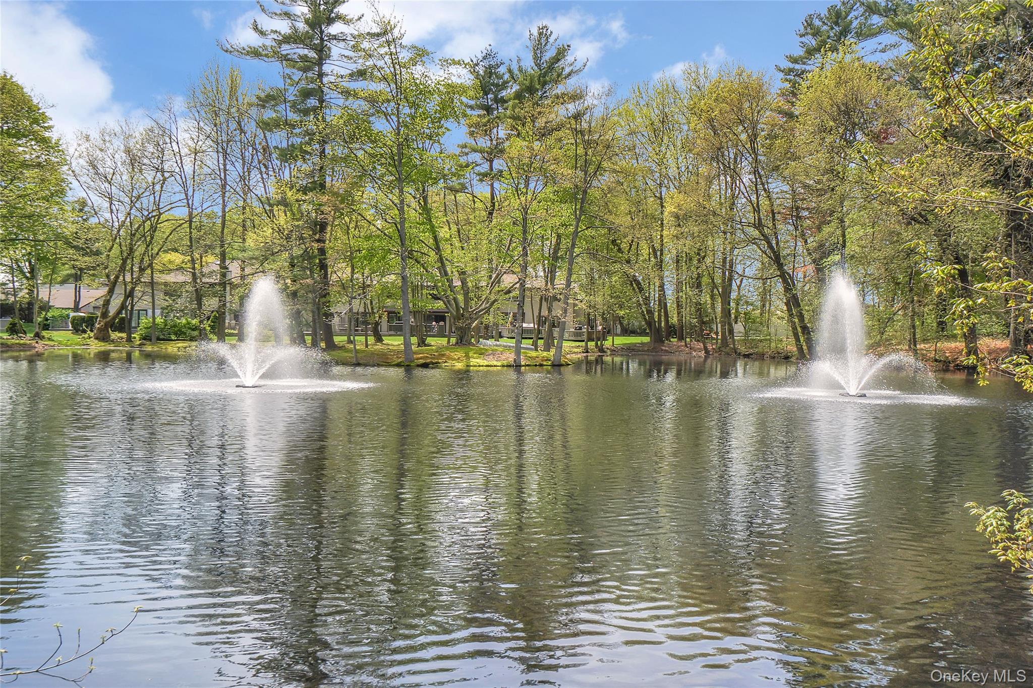 #2 photo, 124 Foxwood Drive, Jericho , NY 11753