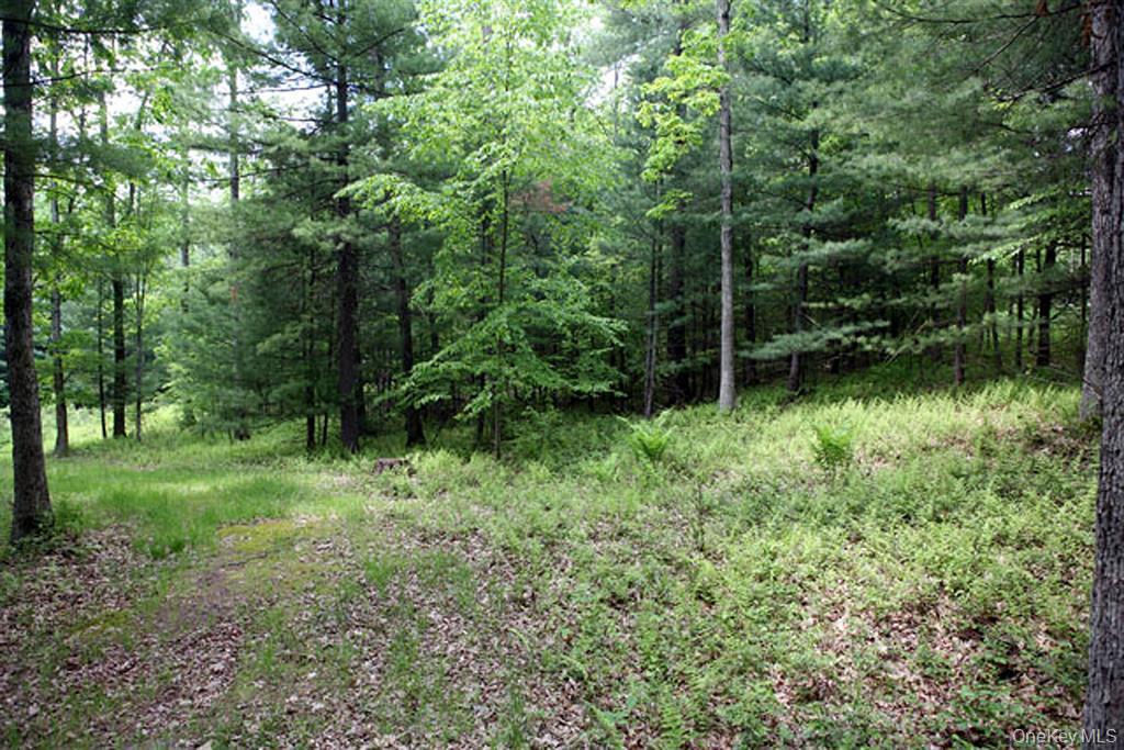 #2 photo, country Road, Callicoon , NY 12723