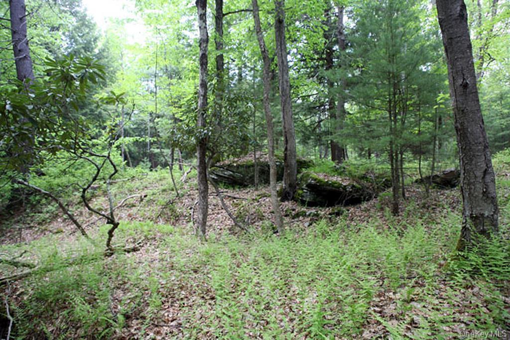 #4 photo, country Road, Callicoon , NY 12723