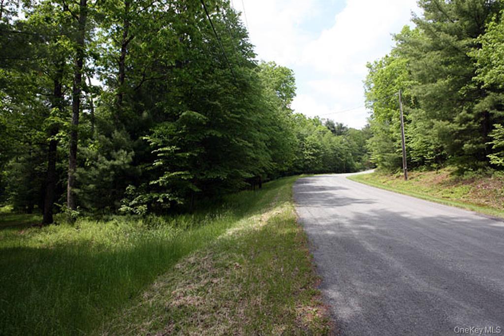 #5 photo, country Road, Callicoon , NY 12723