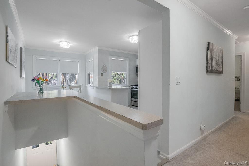 #11 photo, 590 Bedford Road, 纽约州 Pleasantville , NY 10570