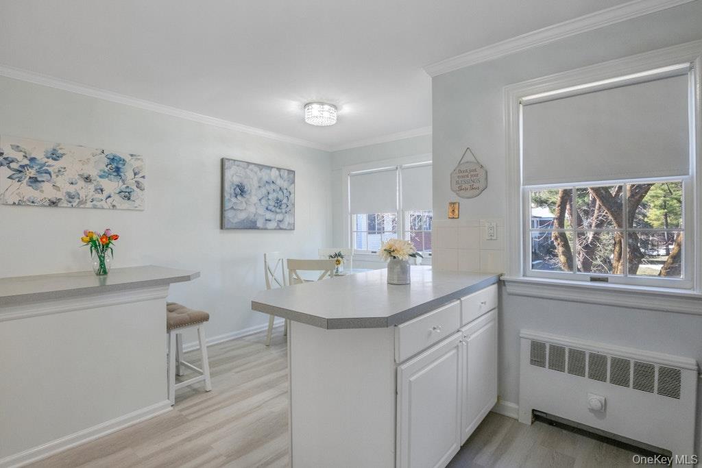 #12 photo, 590 Bedford Road, 纽约州 Pleasantville , NY 10570