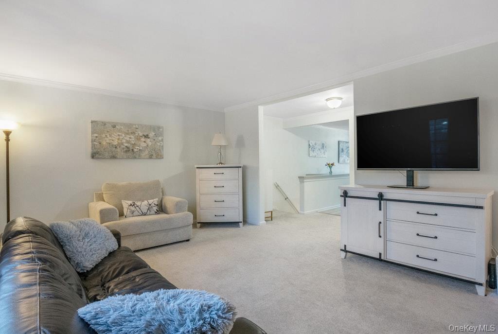 #5 photo, 590 Bedford Road, 纽约州 Pleasantville , NY 10570