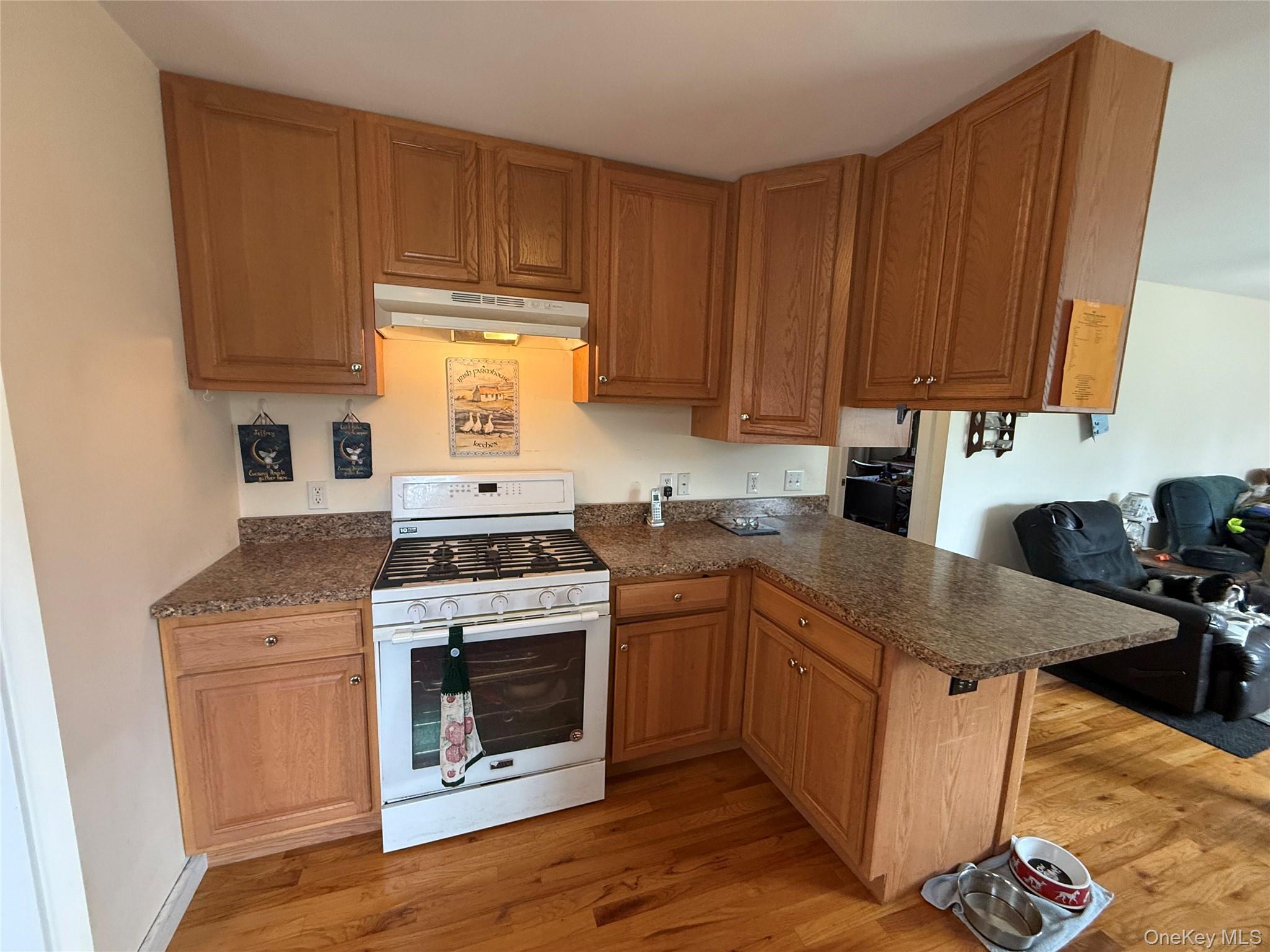 #8 photo, 27 Hardenburg Road, 紐約州 Pine Bush , NY 12566