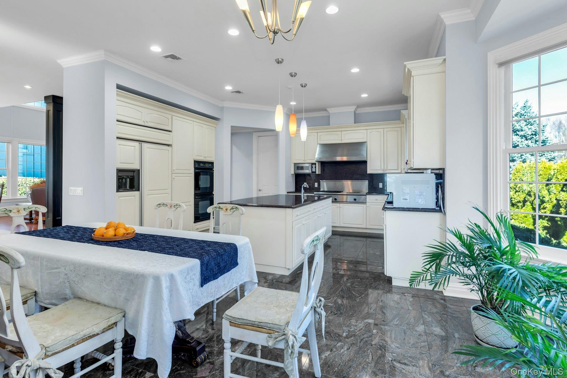 #10 photo, 58 Stone Hill Drive, מחוז נסאו Manhasset , NY 11030