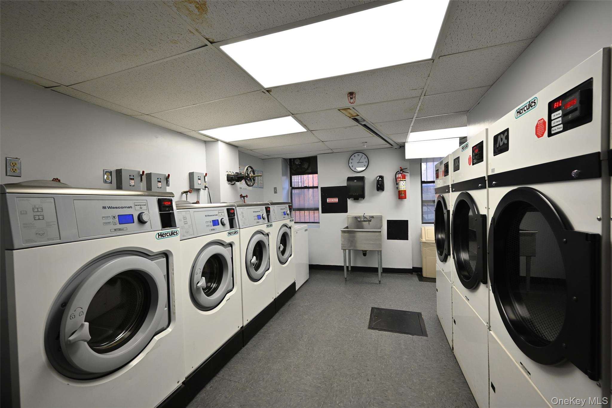 #14 photo, 100-25 Queens Boulevard, Forest Hills , NY 11375