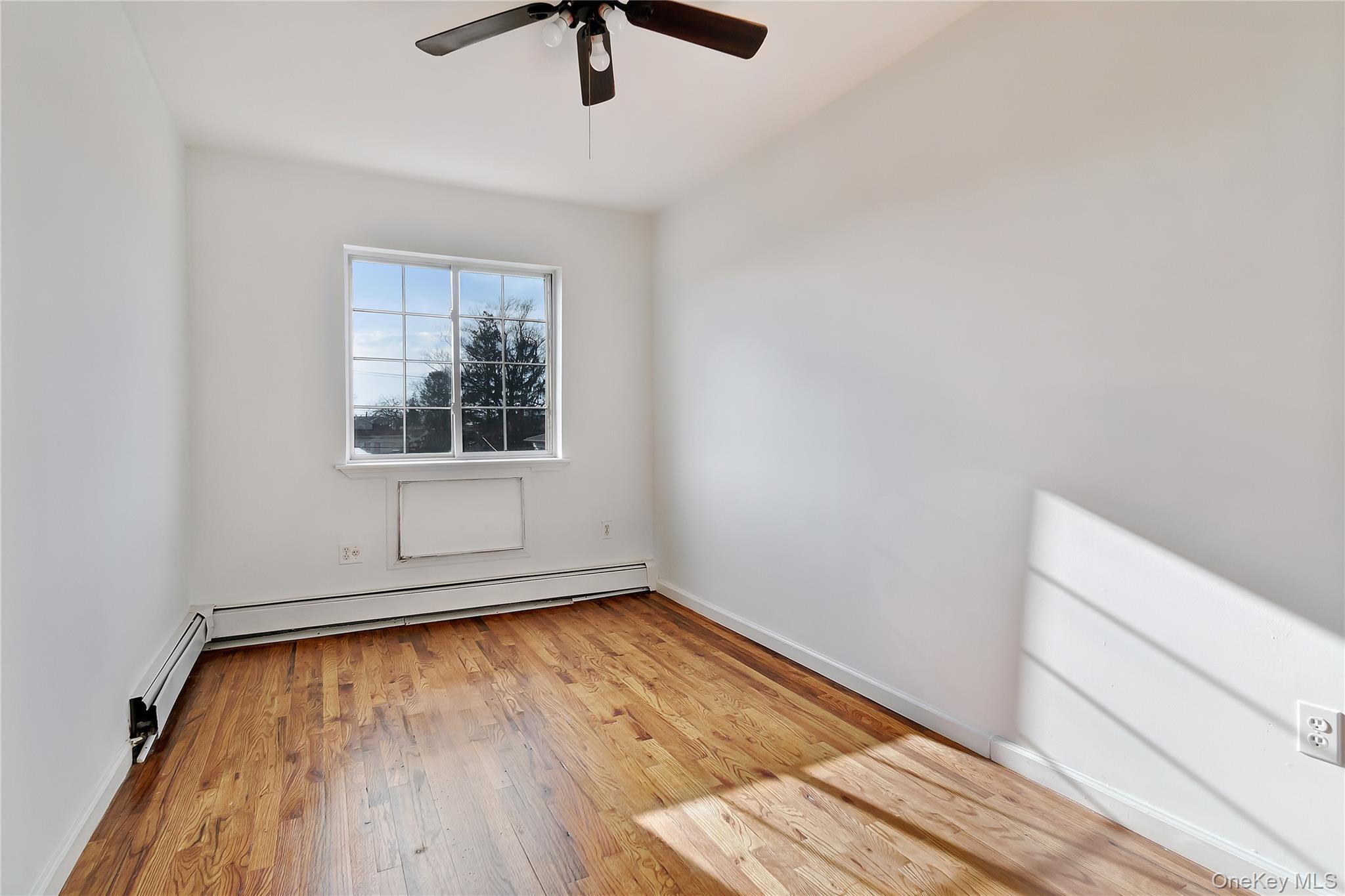 #12 photo, 964 Hemlock Street, Brooklyn , NY 11208