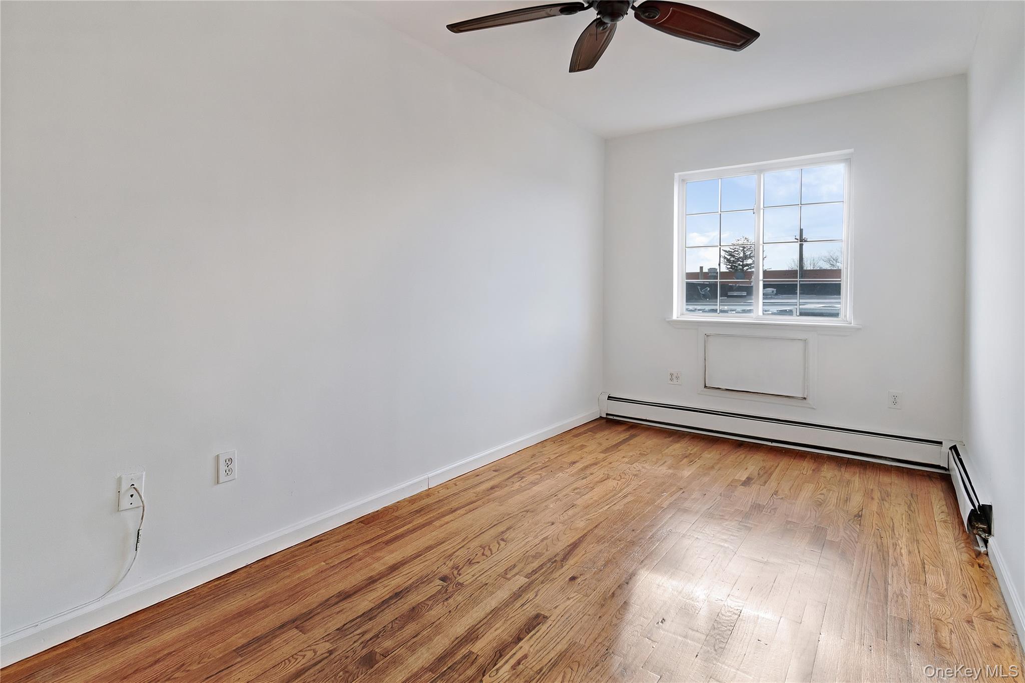 #5 photo, 964 Hemlock Street, Brooklyn , NY 11208