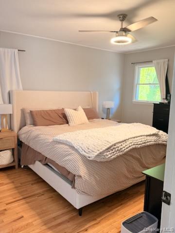 #8 photo, 43 Titmus Drive, Mastic , NY 11950