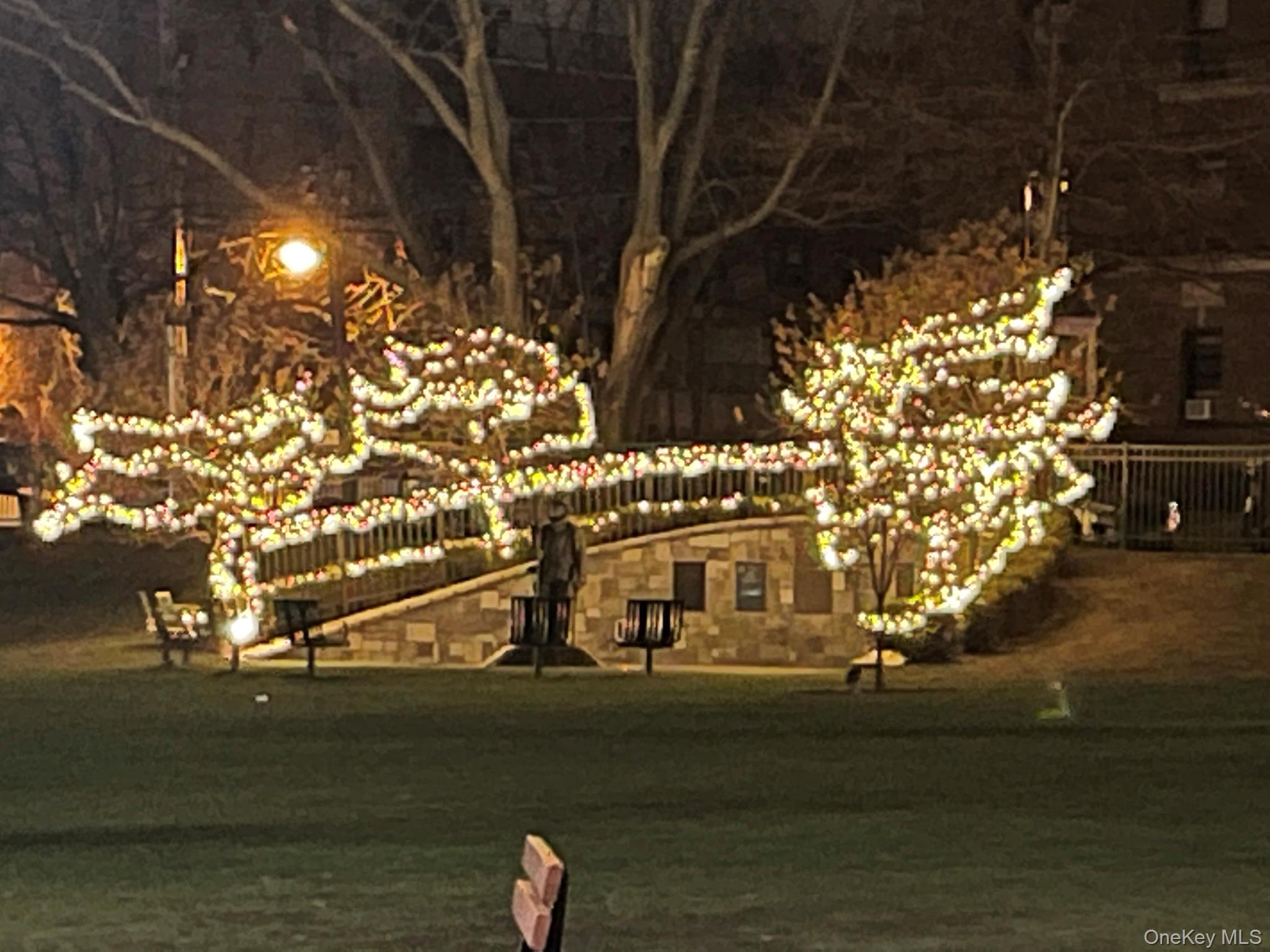 #13 photo, 7 Bond Street, Great Neck Plaza , NY 11021