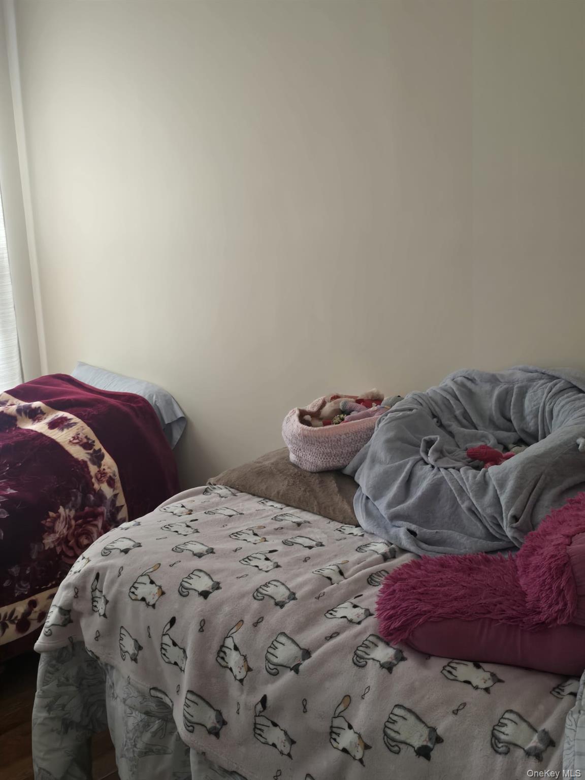 #18 photo, 10156 107th Street, कुईंस Ozone Park , NY 11416