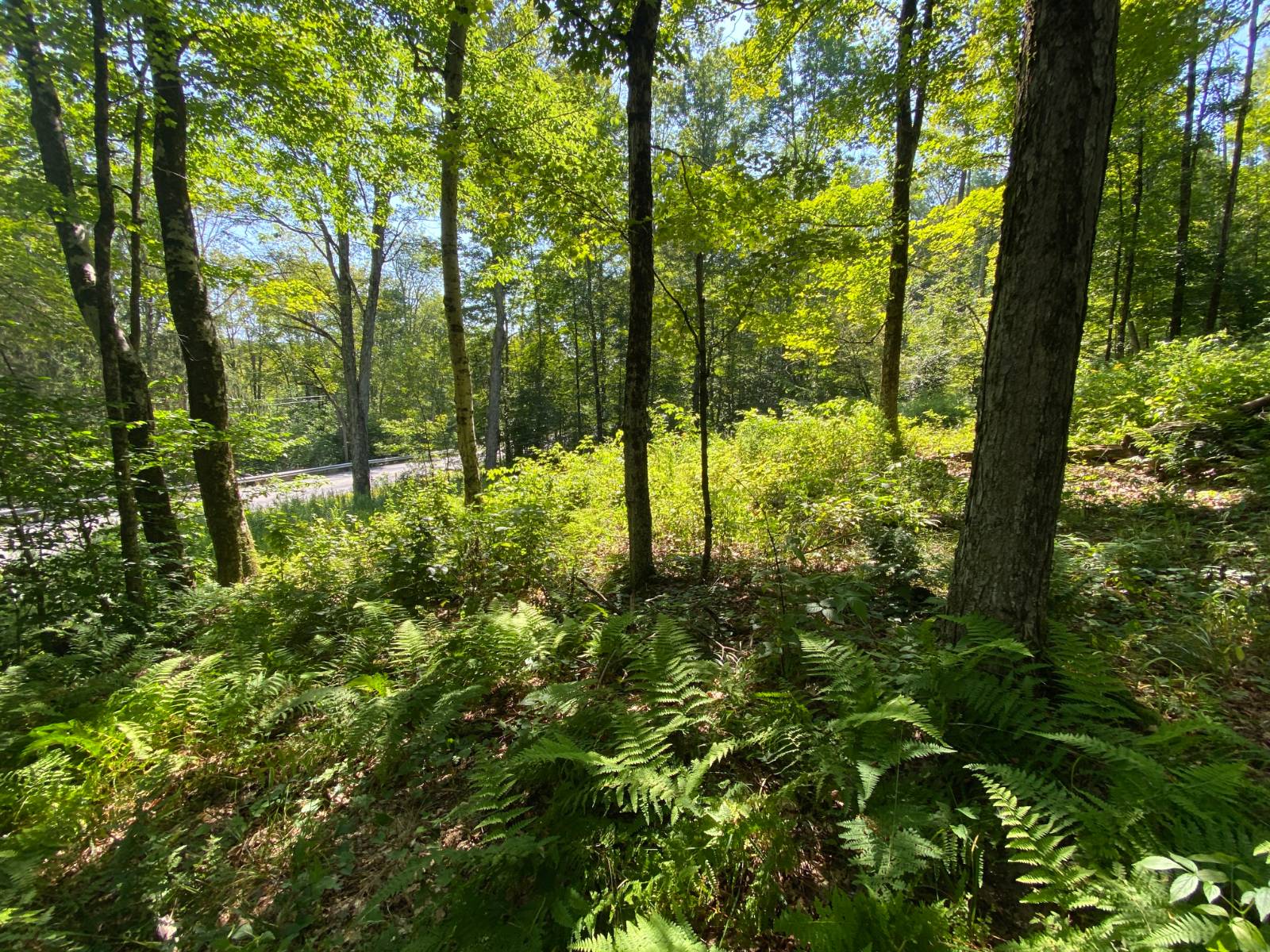 #11 photo, 00 County Hwy 14, East Meredith , NY 13757