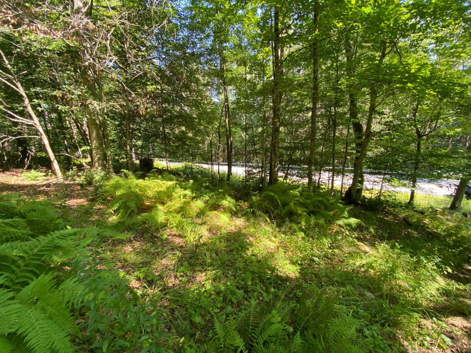 #3 photo, 00 County Hwy 14, East Meredith , NY 13757