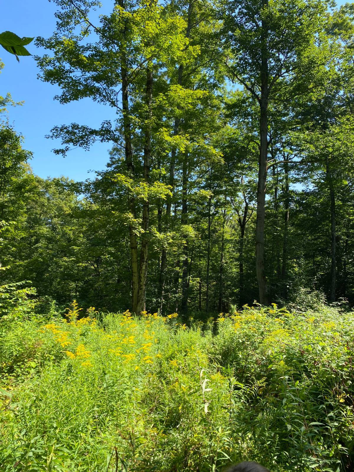 #5 photo, 00 County Hwy 14, East Meredith , NY 13757