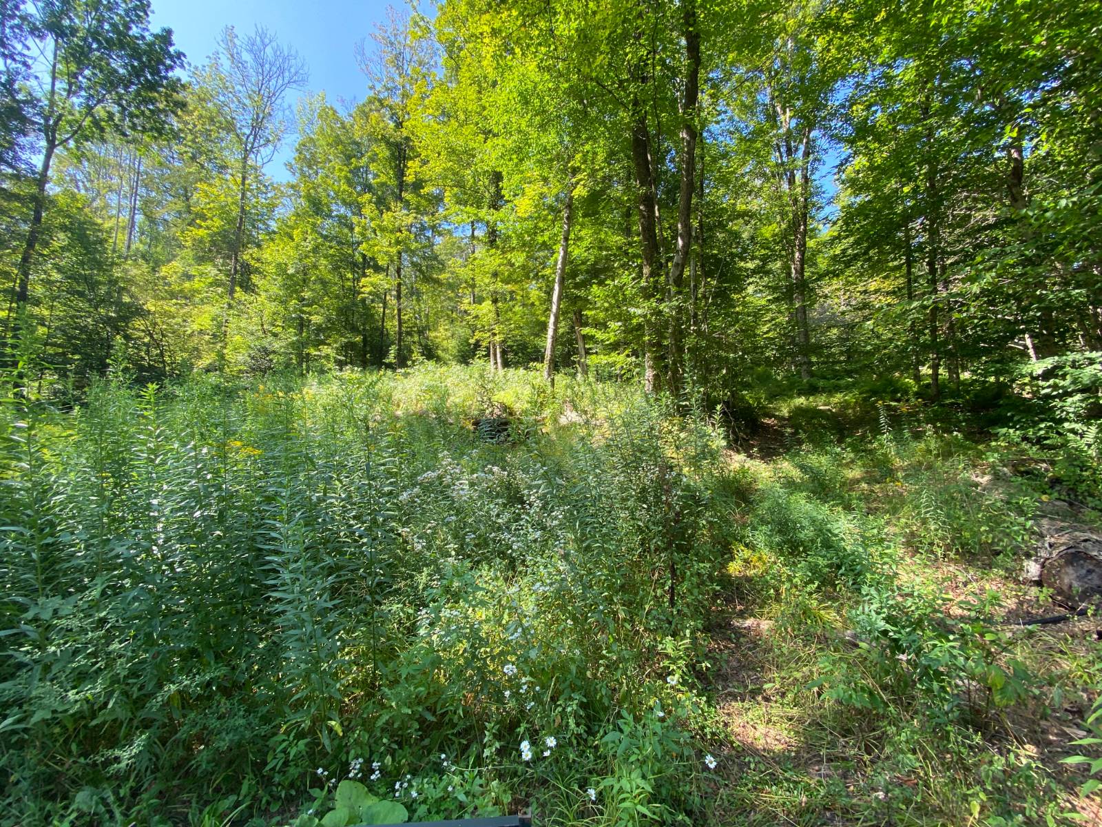 #6 photo, 00 County Hwy 14, East Meredith , NY 13757