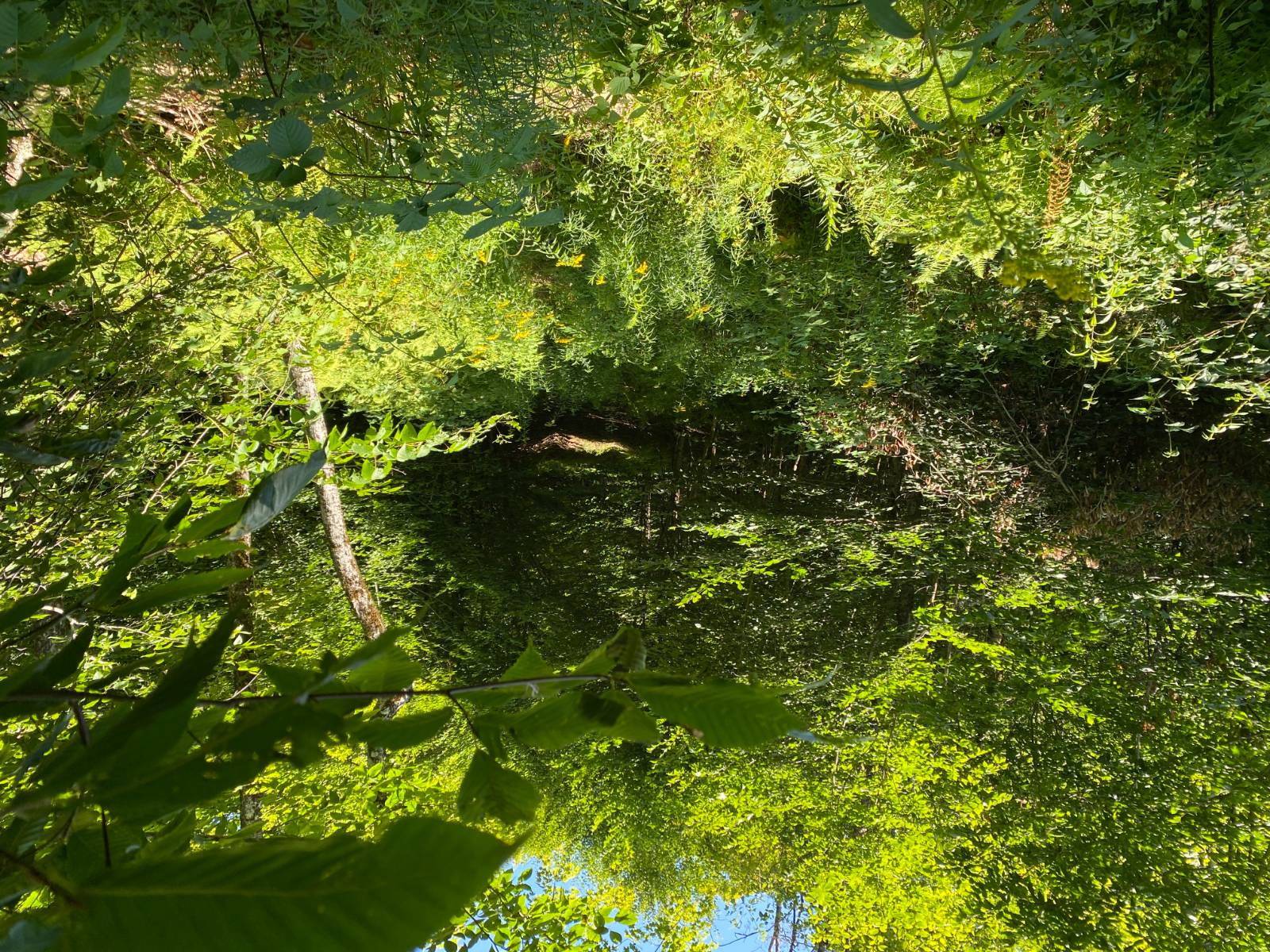 #7 photo, 00 County Hwy 14, East Meredith , NY 13757