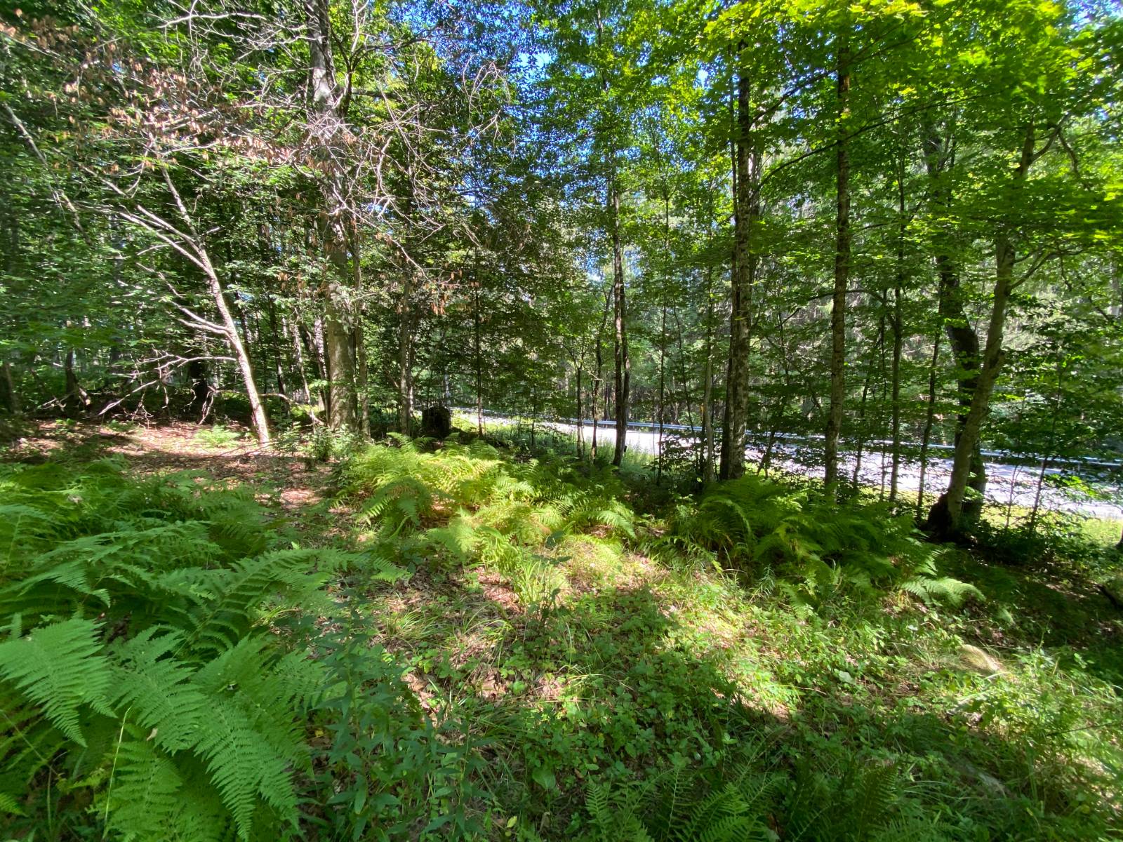 #9 photo, 00 County Hwy 14, East Meredith , NY 13757