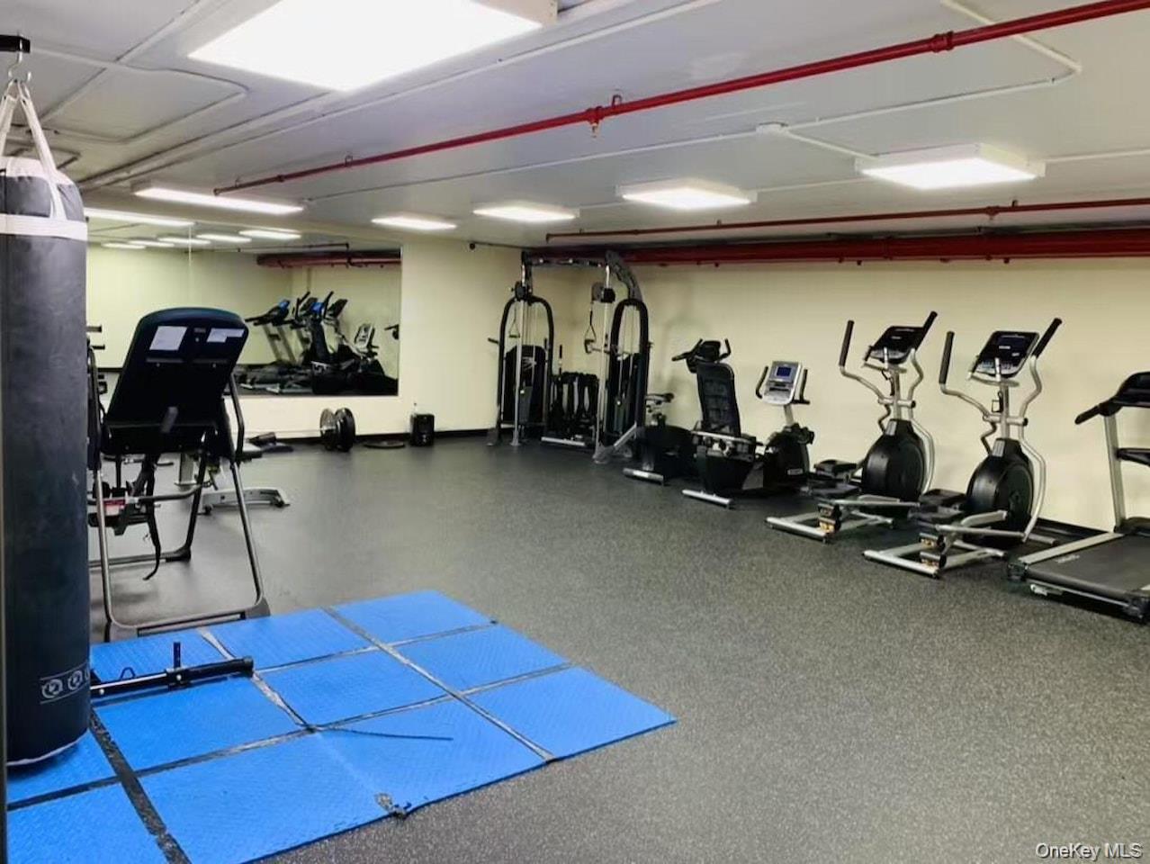 #13 photo, 14238 37th Avenue, Flushing , NY 11354