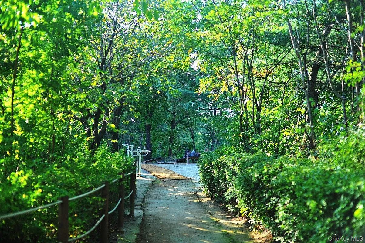 #19 photo, 83-75 Woodhaven Boulevard, Куинс ‖ Woodhaven , NY 11421