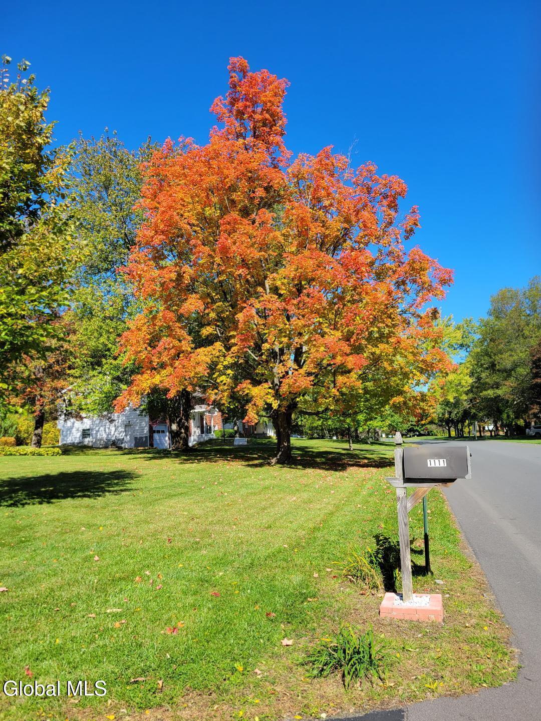 #51 photo, 1111 Rosehill Boulevard, Niskayuna , NY 12309