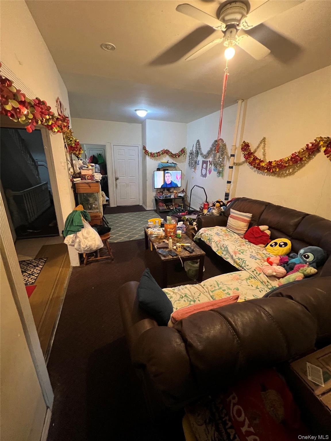 #11 photo, 10008 101st Avenue, קווינס Ozone Park , NY 11416