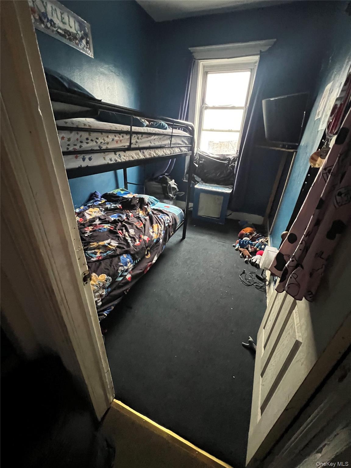 #16 photo, 10008 101st Avenue, קווינס Ozone Park , NY 11416