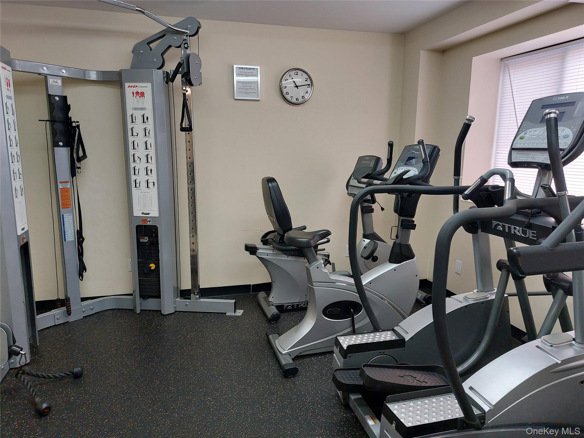 #11 photo, 14116 84th Drive, Briarwood , NY 11435