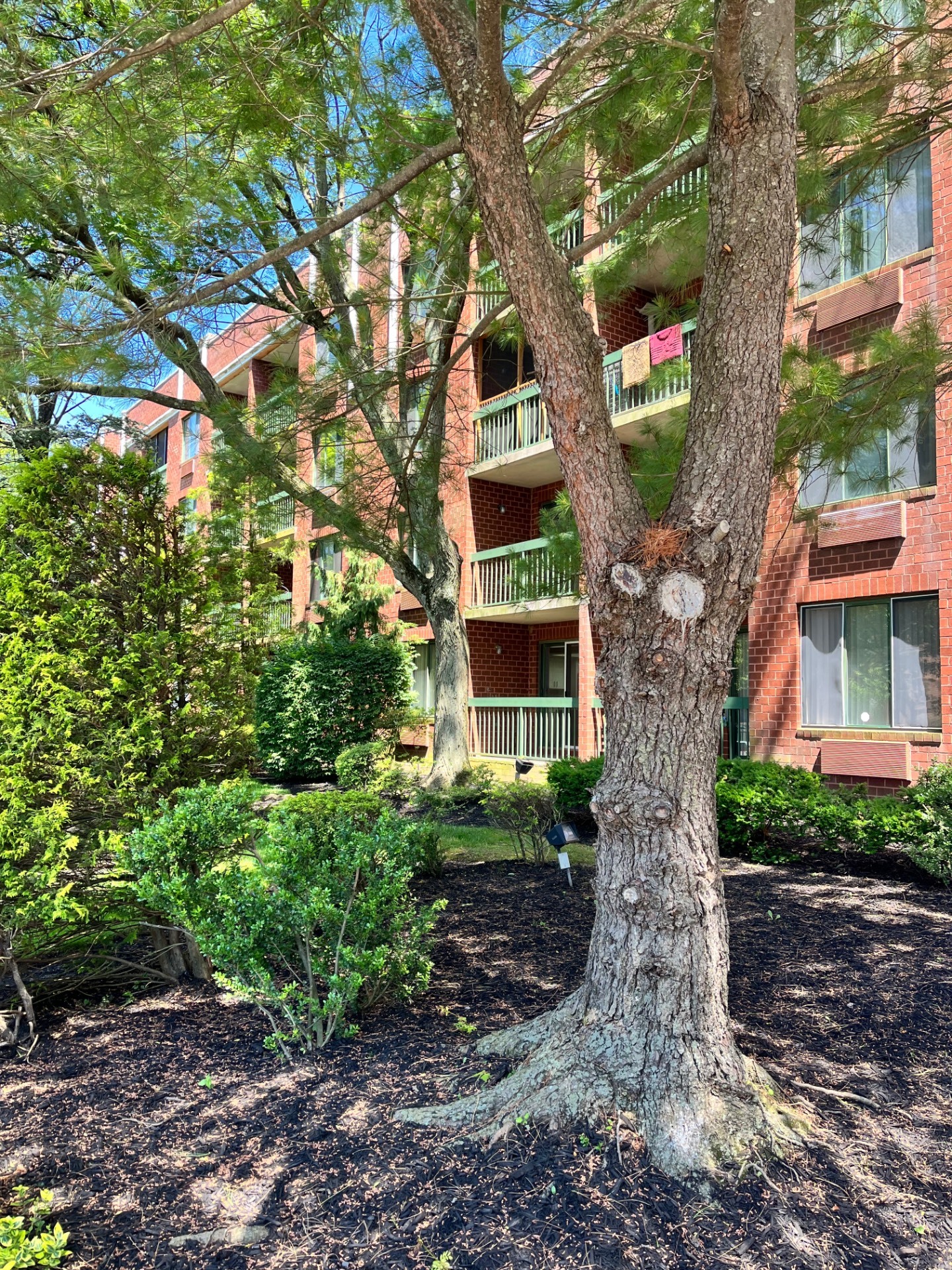 #2 photo, 121 Wellington Ct, #3I, स्टेटन द्वीप Staten Island , NY 10314