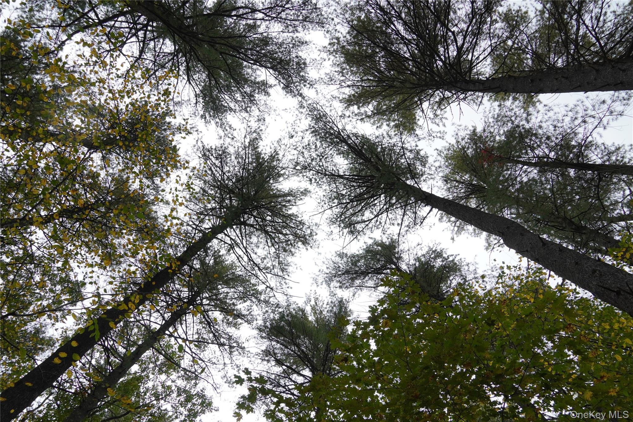 #1 photo, 19 Stoutenburgh Drive, 뉴욕주 Hyde Park , NY 12538