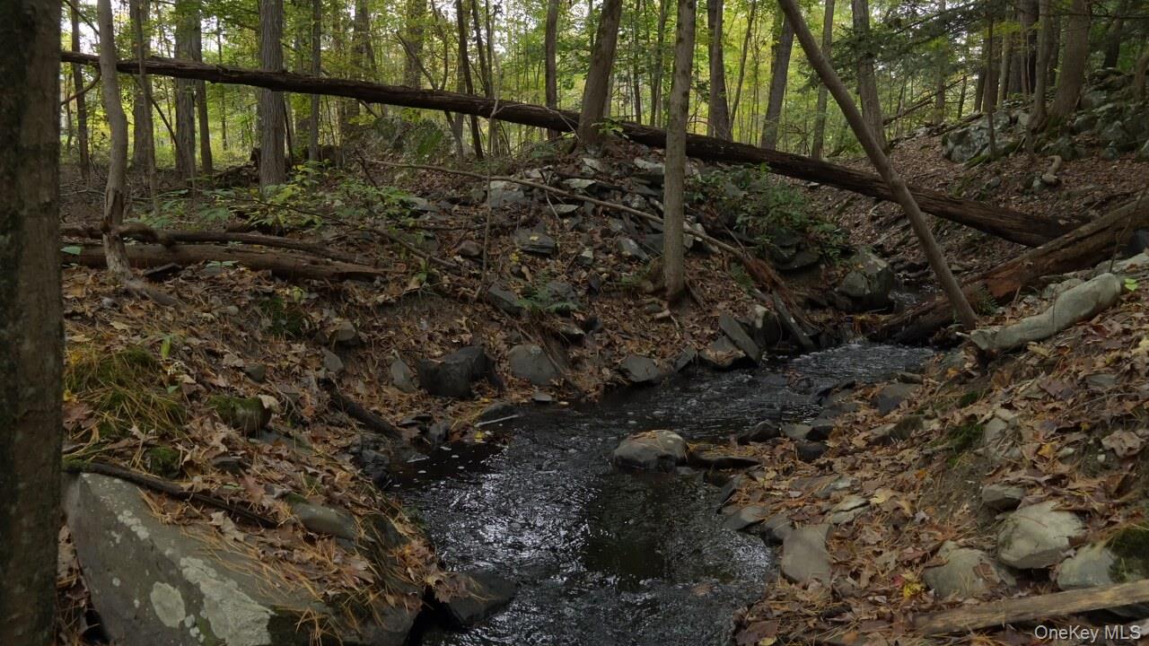 #11 photo, 19 Stoutenburgh Drive, 뉴욕주 Hyde Park , NY 12538