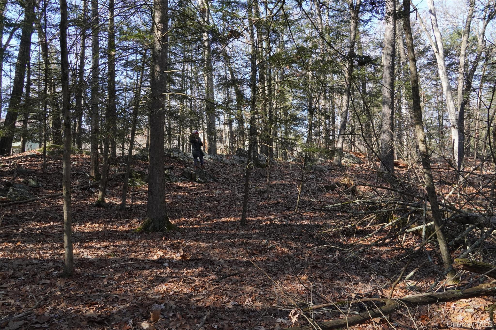 #13 photo, 19 Stoutenburgh Drive, 뉴욕주 Hyde Park , NY 12538