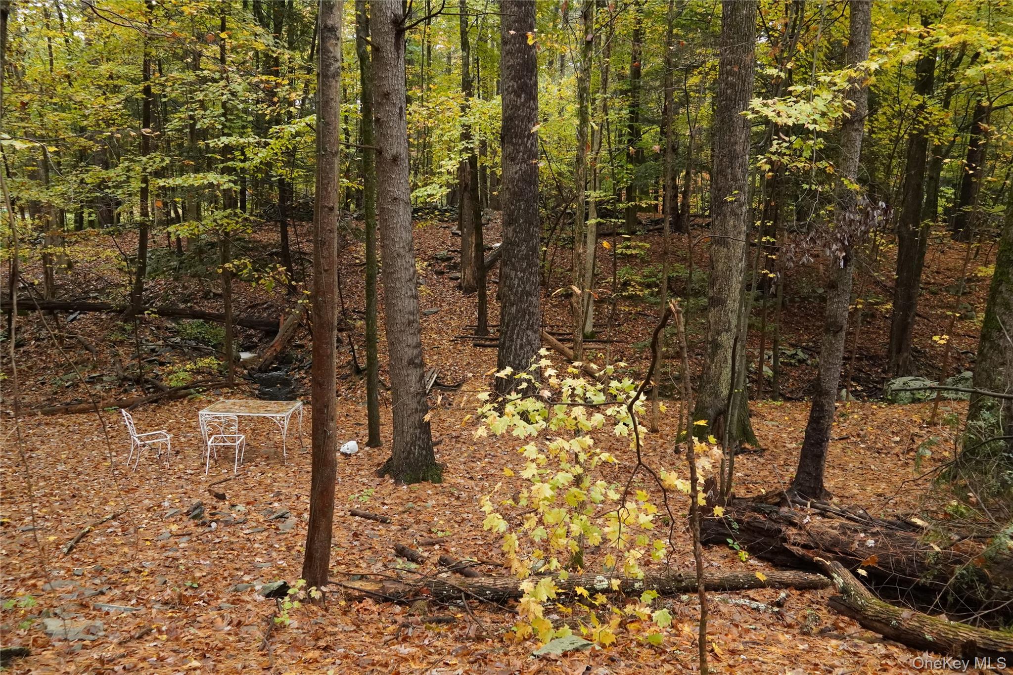 #15 photo, 19 Stoutenburgh Drive, 뉴욕주 Hyde Park , NY 12538