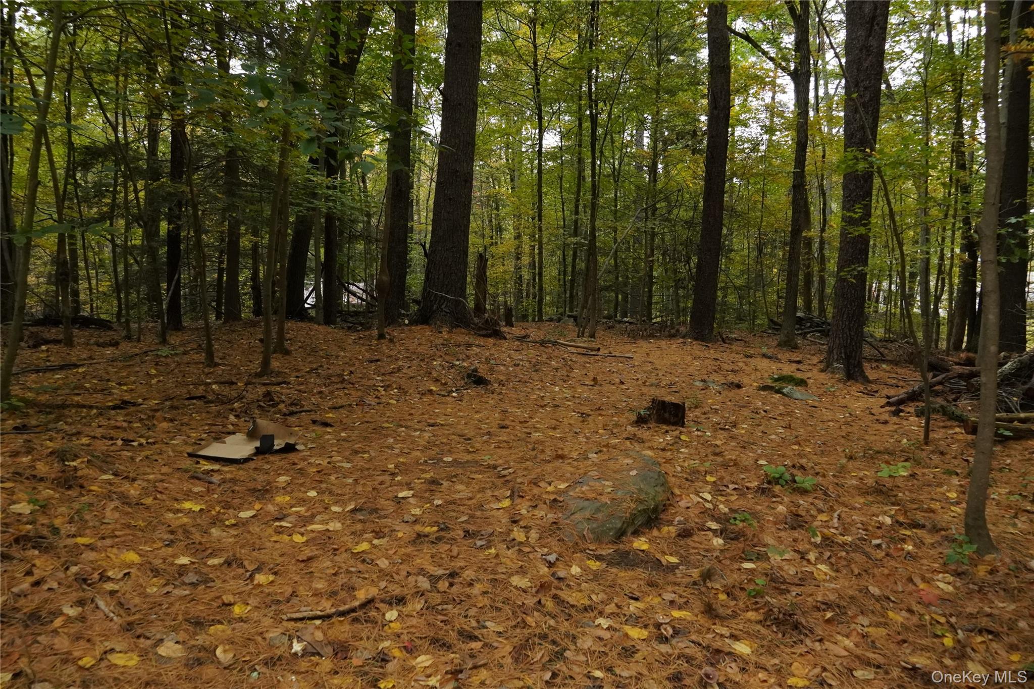 #17 photo, 19 Stoutenburgh Drive, Hyde Park , NY 12538