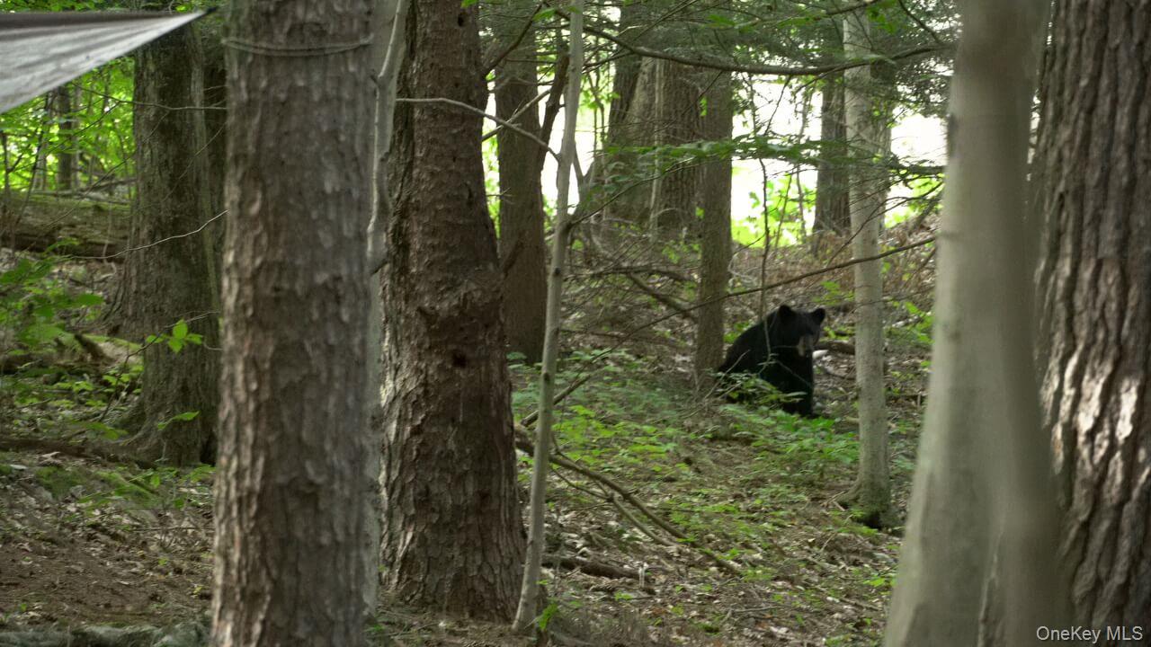 #2 photo, 19 Stoutenburgh Drive, 뉴욕주 Hyde Park , NY 12538