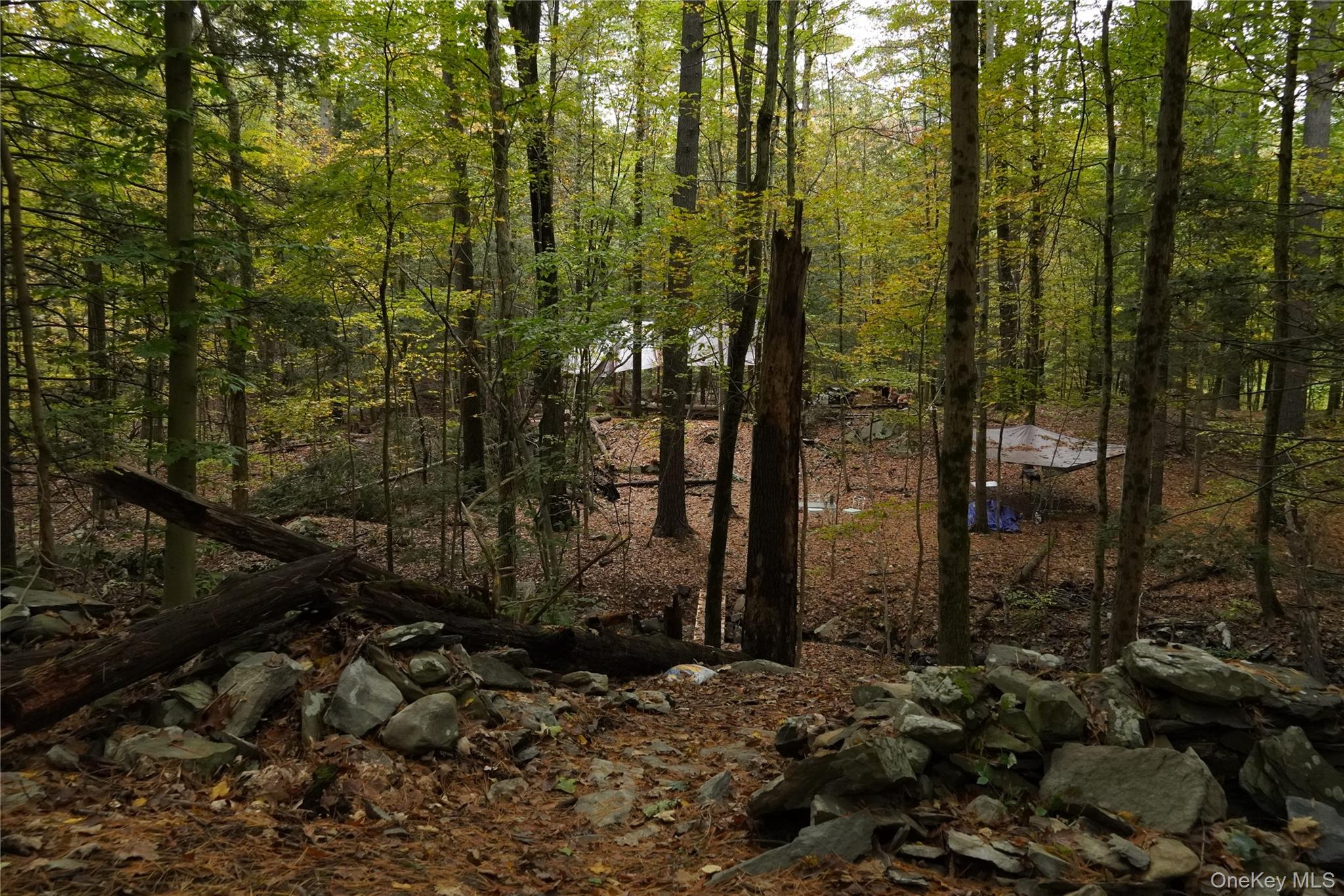 #4 photo, 19 Stoutenburgh Drive, 뉴욕주 Hyde Park , NY 12538