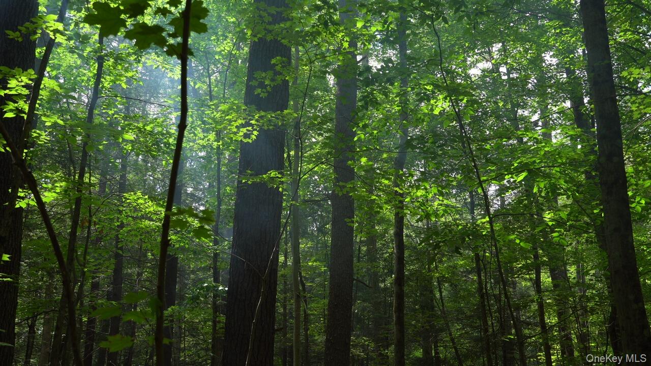 #5 photo, 19 Stoutenburgh Drive, 뉴욕주 Hyde Park , NY 12538