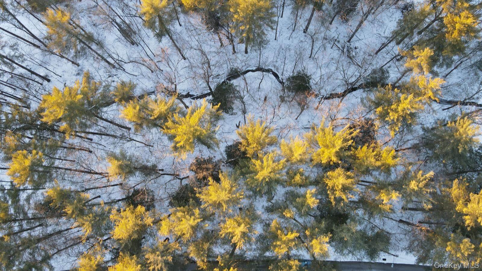 #8 photo, 19 Stoutenburgh Drive, 뉴욕주 Hyde Park , NY 12538