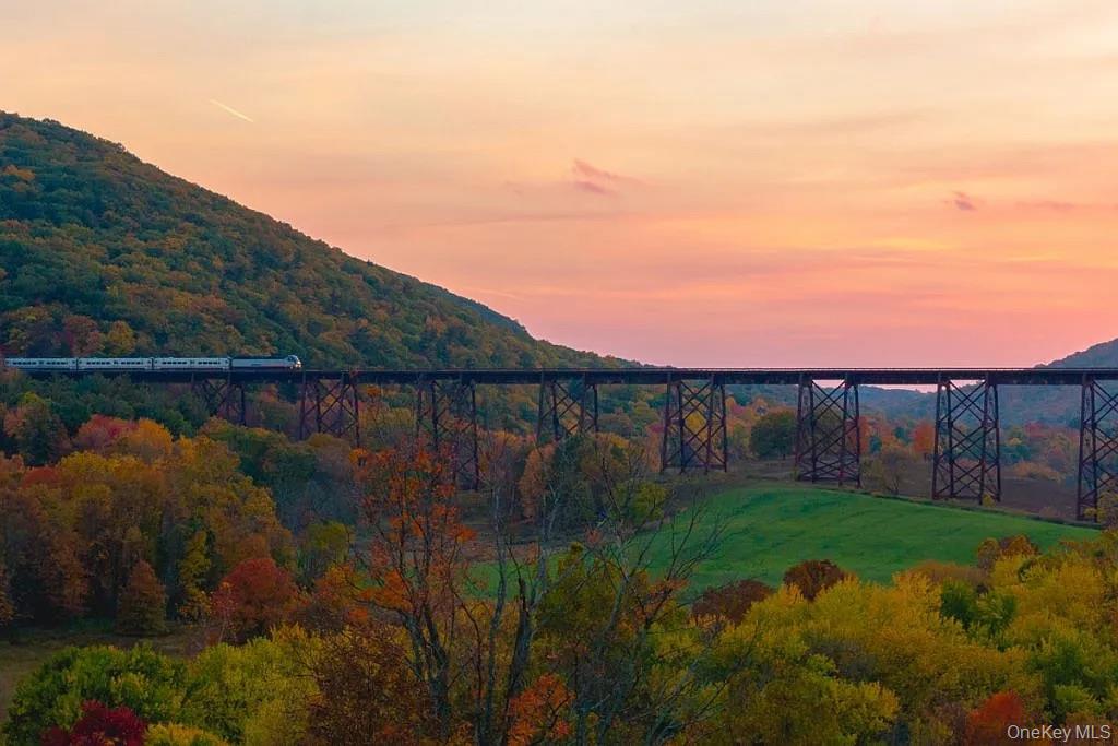 #5 photo, 54 Wildwood Drive, Rock Tavern , NY 12575