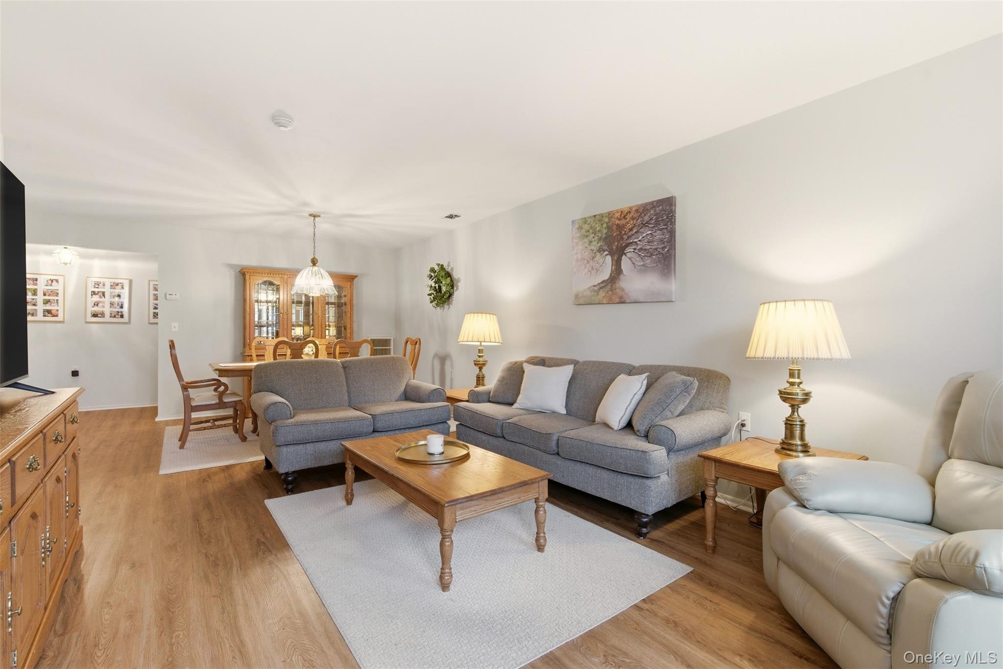 #10 photo, 58 Theodore Drive, Coram , NY 11727