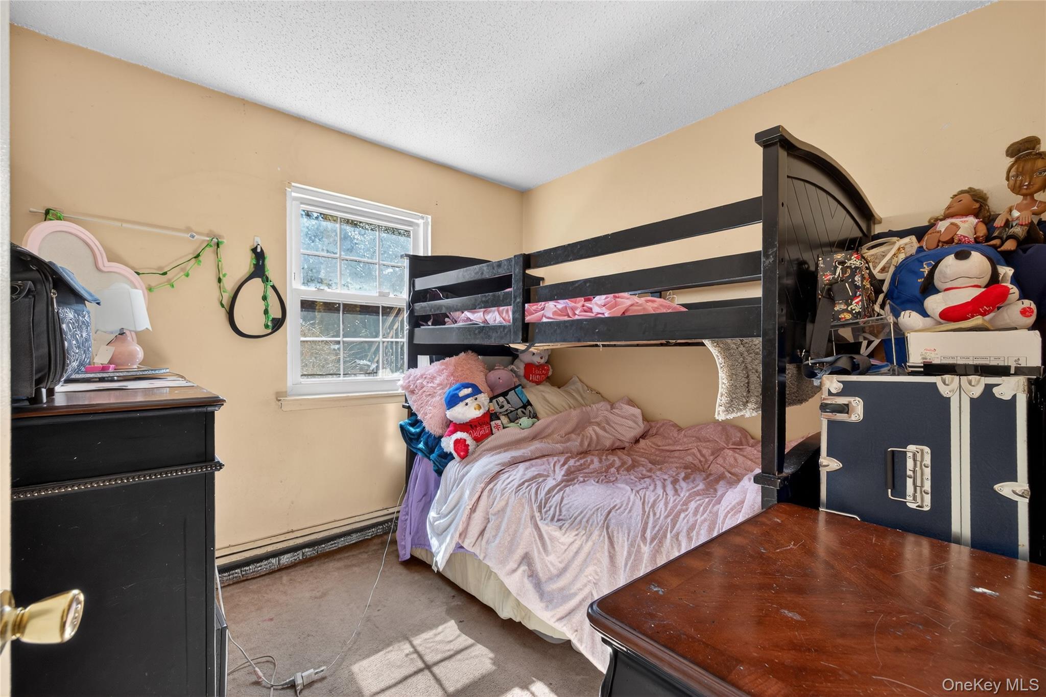 #18 photo, 379 Washington Avenue, ناسو Roosevelt , NY 11575