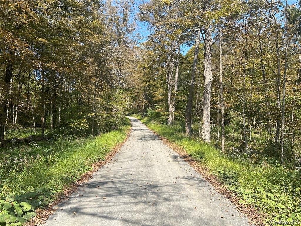 #1 photo, Westfall, 뉴욕주 Ancram , NY 12502