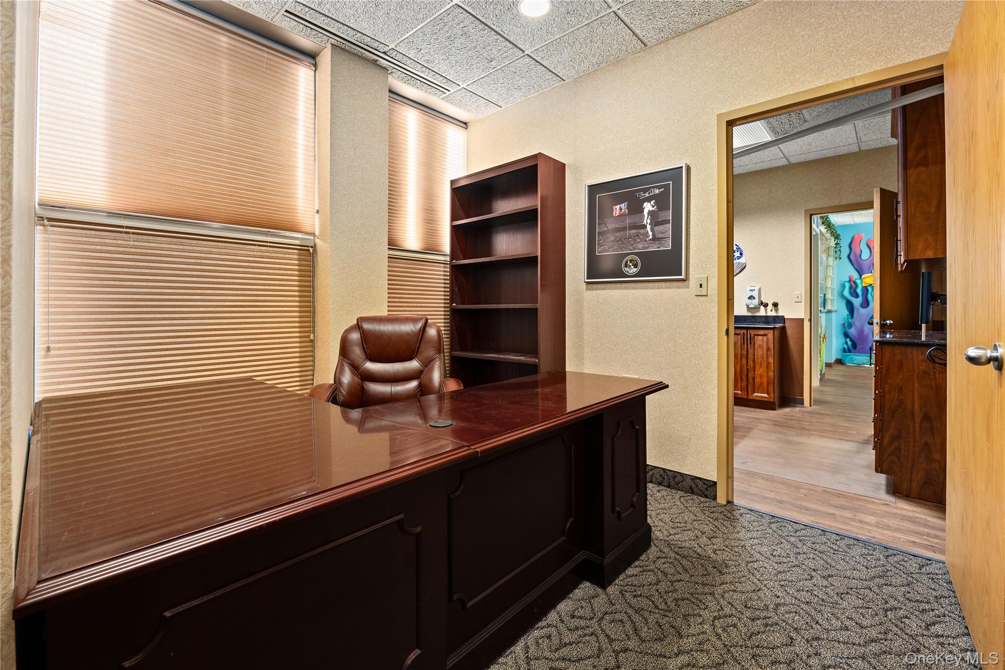 #13 photo, 1171 Old Country Road, Plainview , NY 11801