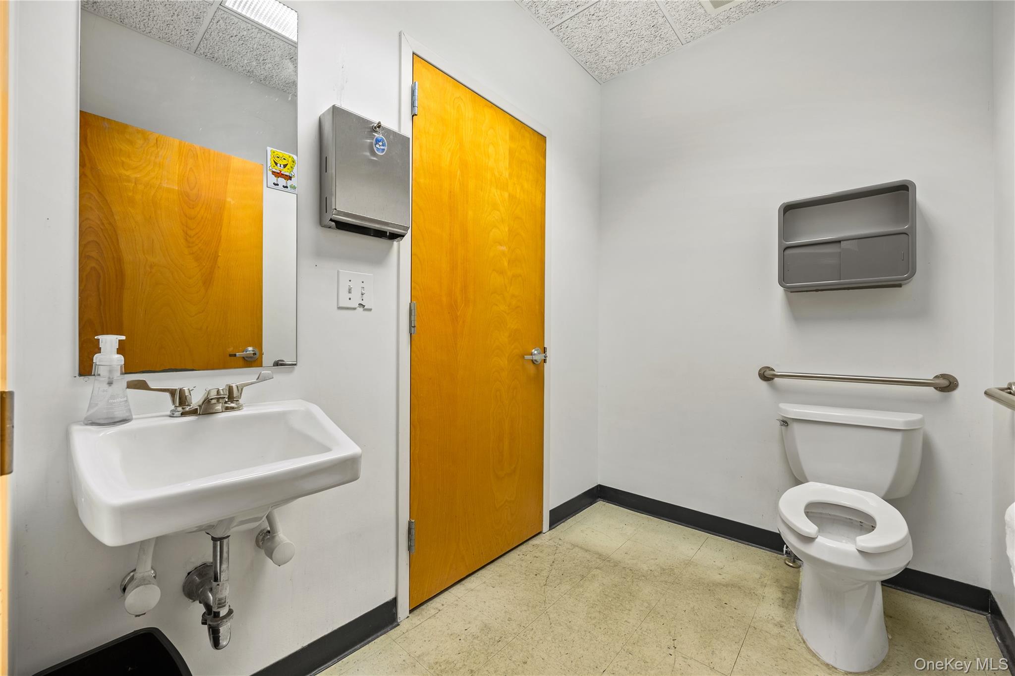 #17 photo, 1171 Old Country Road, Plainview , NY 11801