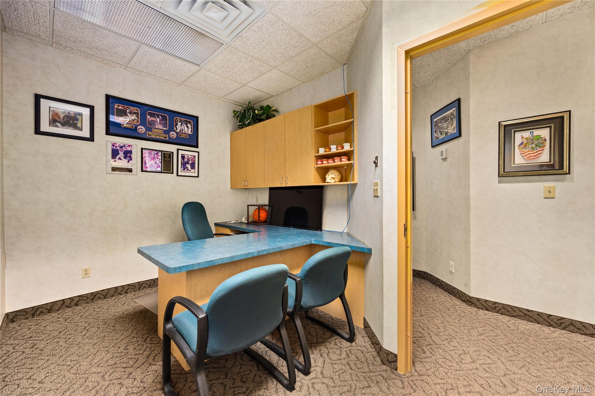 #9 photo, 1171 Old Country Road, Plainview , NY 11801